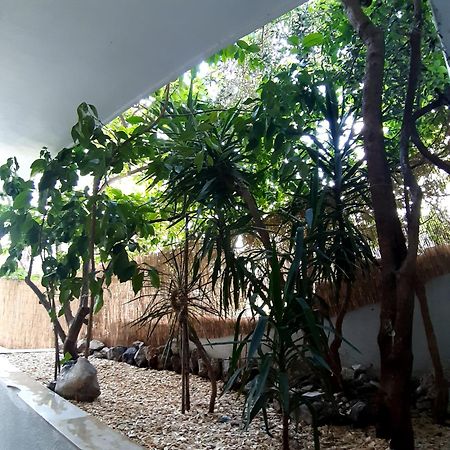 Apartments Дуче Екстер'єр фото